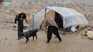 The Harsh Life of Nomads | Strength \u0026 Resilience in the Face of Severe Rain and Storm