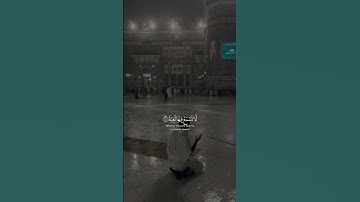 في جنة عالية لا تسمع فيها لاغية | القارئ #عبدالرحمن_مسعد 🌑