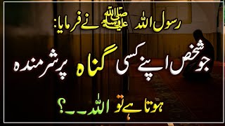 Jo Shkhs Apne Kise Gunah Par Sharminda Hota Hai Islam Ki Bat Hadees Islamic Urdu Pakistan