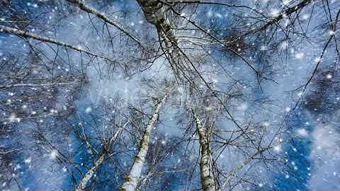 Winter Snow Fall Overlay Slow Motion - 2 Views | Motion Graphics - Envato elements