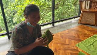 FOUR SEASONS RESORT BALI AT SAYAN