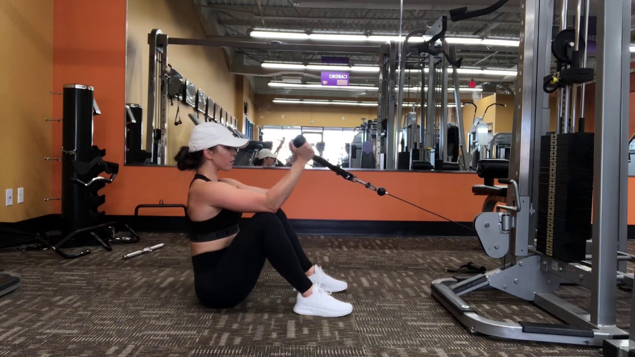 Cable Seated Bicep Curl (Shortened Range) YouTube