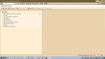 SAP EWM-Goods receipt with 501 by using MIGO