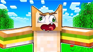 BEYNİMİ KAYBETTİM! - Minecraft