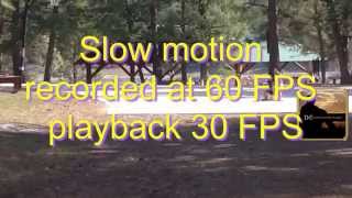 Slow Motion on Video Dreamer™  iPad® iPhone® App screenshot 1