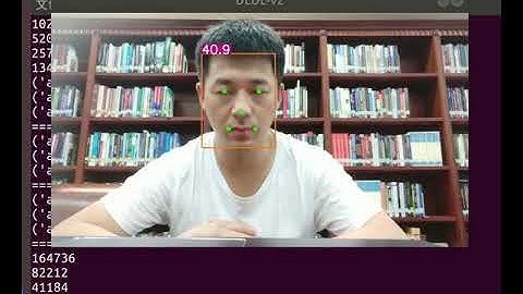 Age Estimation Using DLDL-v2