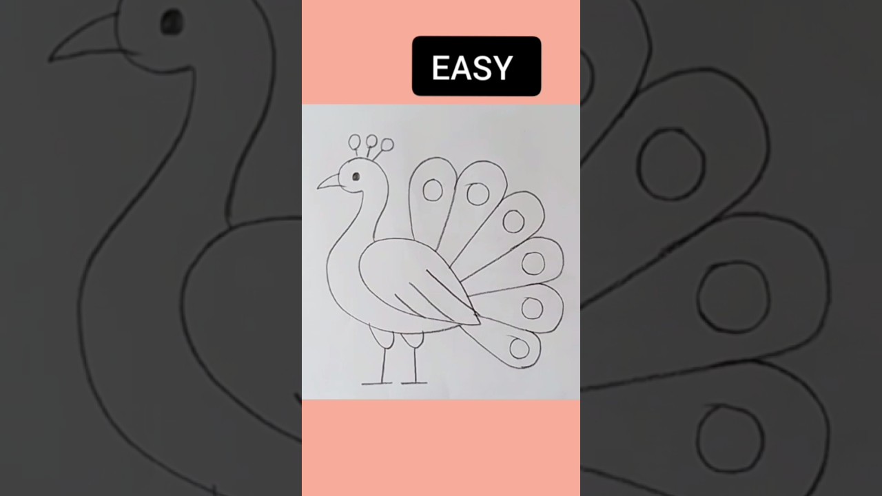 EASY Peacock 🦚 drawing