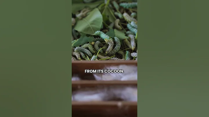 THE HERO OF NATURAL FIBERS