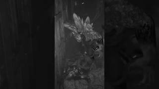 Gravity in Nioh: #Nioh #Bug #Gravity #GetDown #Funnyshorts #Shorts #William #Geddan #Promise