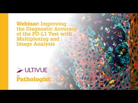 Improving the Diagnostic Accuracy of the PD-L1 test with Multiplexing and Image Analysis