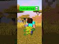 Human😀vs Herobrine💀0004 #minecraft #Herobrine #shorts