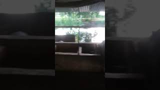 Trąi bò anh bảo trảng bàng Tây Ninh