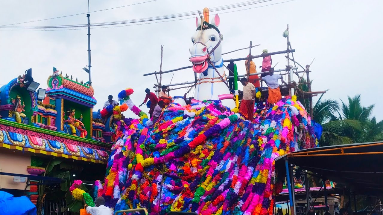 🙏மாசிமகம் திருவிழா |அருள்மிகு ஶ்ரீ பெருங்காரையடி மீண்ட அய்யனார் கோவில், குளமங்கலம்.