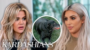 Khloé, Kim & Kourtney Kardashian Say Goodbye to Beloved Family Dog Gabbana | KUWTK | E!