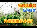 为什么你家的菜长不好？为什么花瘦瘦高高的？  光照温度篇，实际应用的理论总结， 光照和温度如何影响蔬菜的生长和质量，（手写板书，纯知识授课）