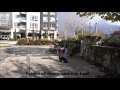 Lab Pit Mix Before And After Video Best Dog Training in Portland Oregon Lab Pit Mix Before And After Video Best Dog Training in Portland Oregon