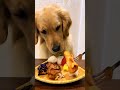Funny photo shoot One-click with same style Affects is fun Video  please do not imitate at home