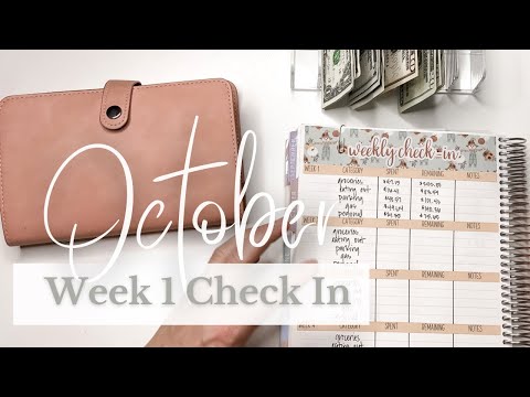Weekly Budget Check
