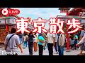 [東京散歩]渋谷から浅草寺まで歩く　終電間に合うか！？