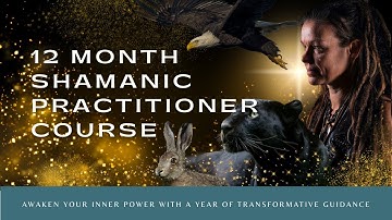 12 month journey documentary