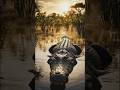 VIRTUAL REALITY 🏔️🌤️#nature #shorts#DigitalNature #AIArt #NatureLovers #EcoTech#crocodile