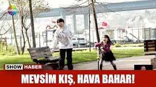 Mevsim kış, hava bahar! Resimi