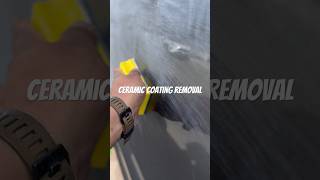 Removing old ceramic coating Net Worth