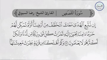 سوره القصص بصوت القارئ الشيخ رضا السيوفي 🎧🤍