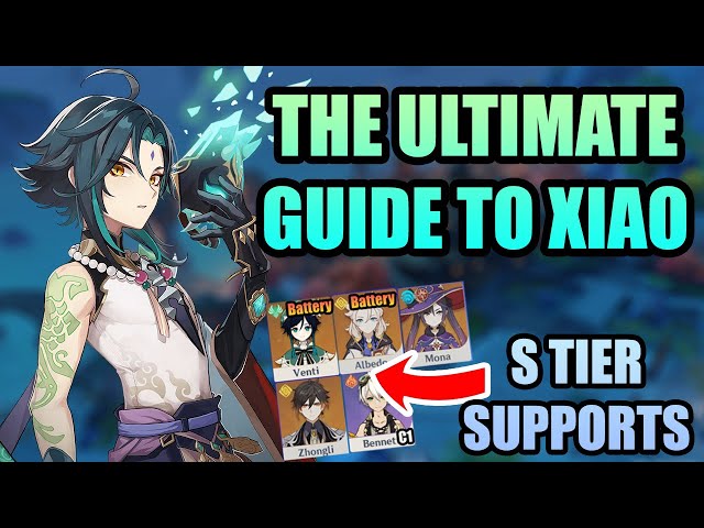 Xiao: Profile, Strategy & Levelup Guide