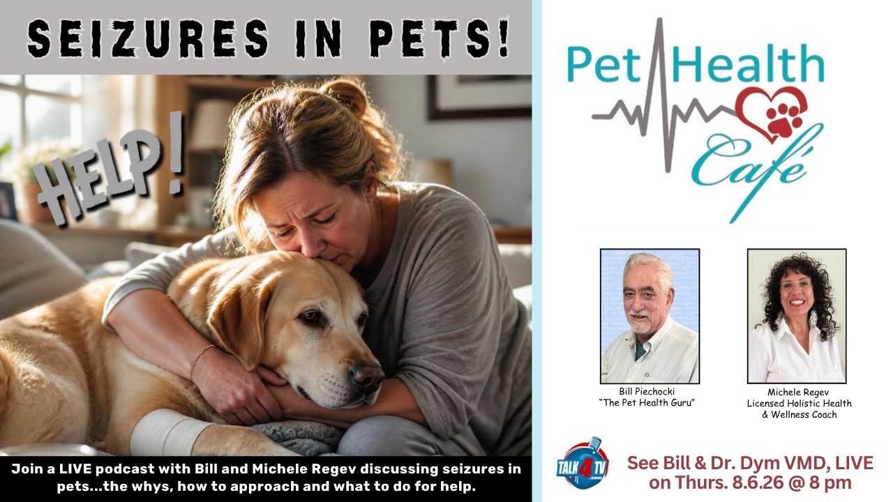 Seizures in Pets