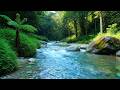 Fall Asleep Fast – Relaxing River Sound 8 Hours in Forest – Deep Sleep