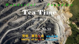 20250823 Wonderful Paradise TeaTime