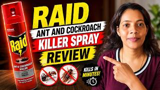 Raid Ant and Cockroach Killer | Raid Roach Spray & Raid Cockroach Killer Review