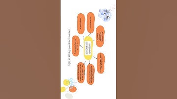 Topic 2 3 Making operational decisions 2 3 1 Business operations