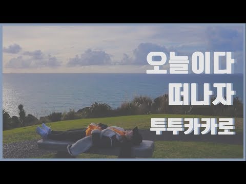 아무것도 없이 떠난 즉흥여행, 그 길 위 만난 다른 세계 [뉴질랜드 엔지오 브이로그]