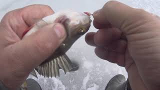 видео: НА АЭРОЛОДКЕ НА РЫБАЛКУ. ОКУНЬ НА МОРМЫШКУ.УСТЬ ИЛИМСКОЕ ВОДОХРАНИЛИЩЕ. ВОТ ЭТО УЛОВ ПОСЛЕДНЕГО ЛЬДА картинка: НА АЭРОЛОДКЕ НА РЫБАЛКУ. ОКУНЬ НА МОРМЫШКУ.УСТЬ ИЛИМСКОЕ ВОДОХРАНИЛИЩЕ. ВОТ ЭТО УЛОВ ПОСЛЕДНЕГО ЛЬДА