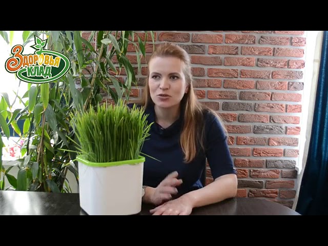 Как повысить гемоглобин беременным? Проверка на собственном опыте