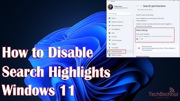 How to Disable Search Highlights in Windows 11