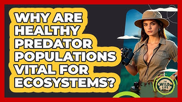Why Are Healthy Predator Populations Vital For Ecosystems? - The Wild Life Explorer