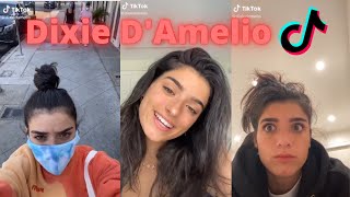 Dixie d'amelio TikTok Compilation 2020