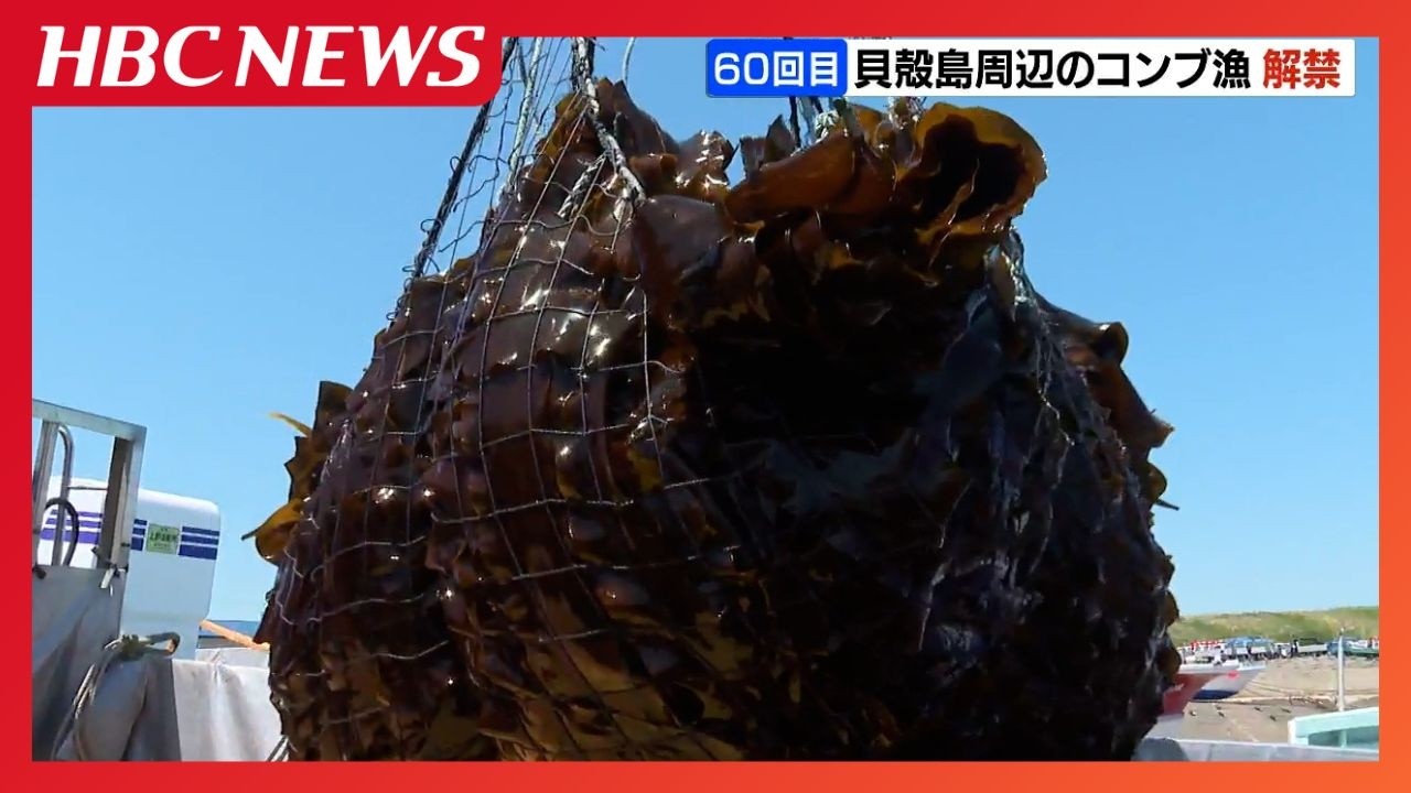 Kelp fishing season opens off Kaigara Island: 60th milestone