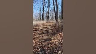 AQN89uLZyx6XPs1fbpD2 wpOQsTWqQTekzmaXk3U1kmehNwjWku72ptjKAqj 8KAurywFoMcxtiJuXNFiRfrGLby