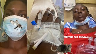 Download Lagu My Fight for SURVIVAL After the Leptospirosis \u0026 Dengue Outbreak in St. Ann, Jamaica 🇯🇲  MP3