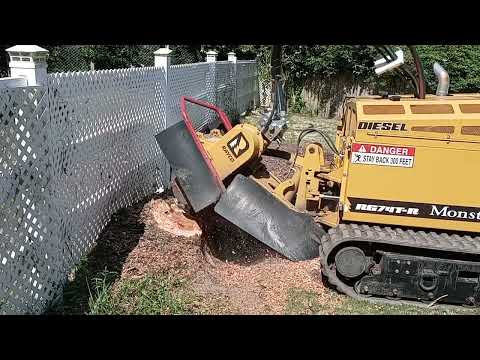 Same Day Stump Grinding - Braircliffe Acres, S.C. 843-467-0334