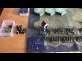 Commands & Colors Napoleonics (with miniatures)