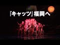劇団四季：キャッツ：福岡公演プロモーションVTR