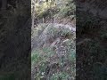 My Kasol Kheerganga Trekking(3)