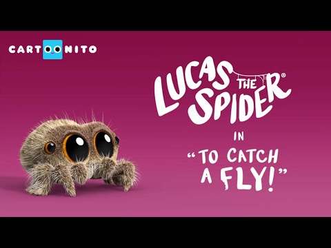 Lucas The Spider To Catch A Fly Short