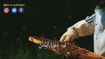 الشيخ ياسر الدوسري يُبدع في آيات سورة النحل | حالات واتس