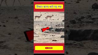 इमपल पर हमल करन भर पड गय